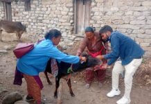 पशु सखी बनीं गांव की ‘डॉक्टर दीदी’, बदली ग्रामीण महिलाओं की तकदीर